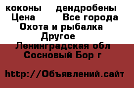 коконы    дендробены › Цена ­ 25 - Все города Охота и рыбалка » Другое   . Ленинградская обл.,Сосновый Бор г.